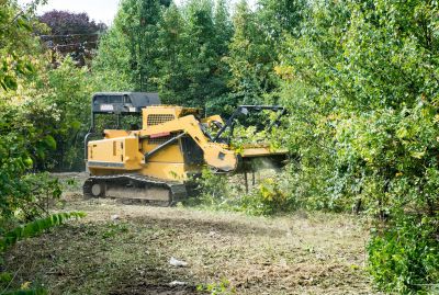 Terrain Clearing in Atlanta, GA